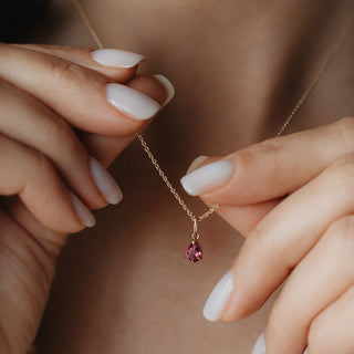 Колекция Нови постъпления