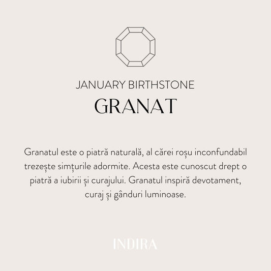 Pandantiv din argint Birthstone January - Granat